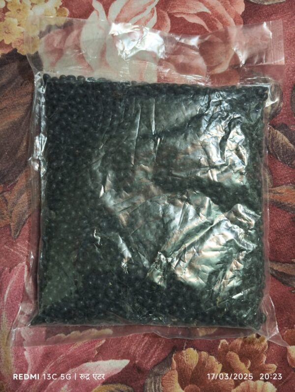 BLACK SOYABEAN